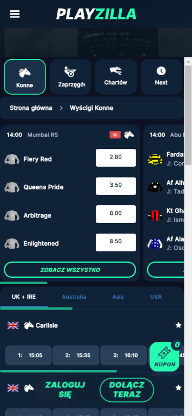 PlayZilla Casino Screenshot