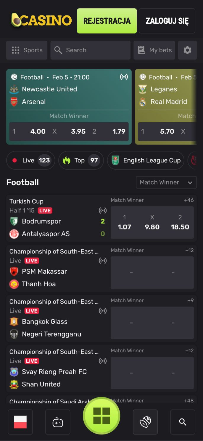 AvoCasino Screenshot